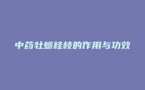 中药牡蛎桂枝的作用与功效