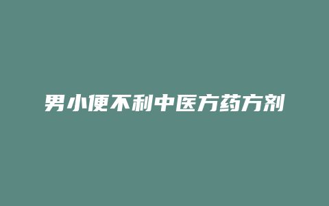 男小便不利中医方药方剂