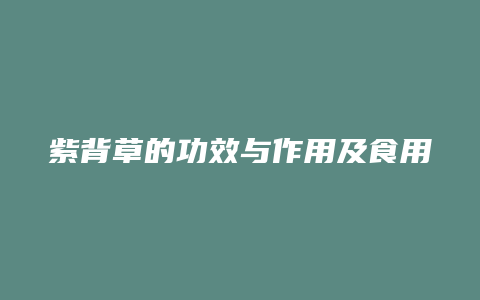 紫背草的功效与作用及食用方法