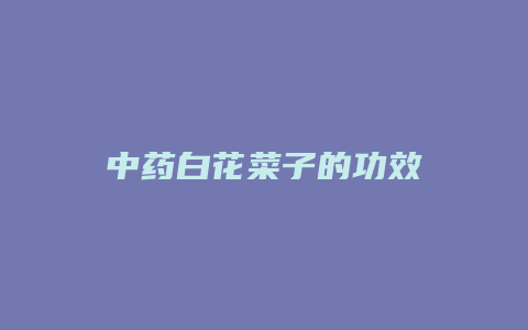 中药白花菜子的功效