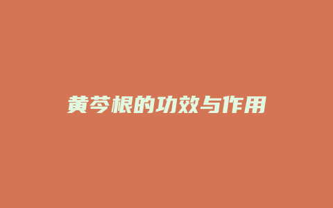 黄芩根的功效与作用