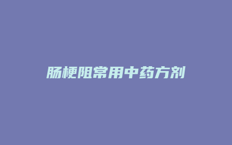 肠梗阻常用中药方剂