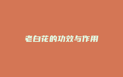 老白花的功效与作用