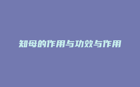 知母的作用与功效与作用