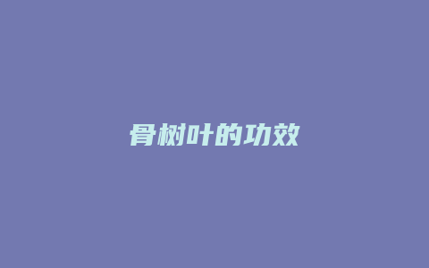 骨树叶的功效