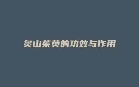 炙山茱萸的功效与作用