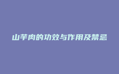 山芋肉的功效与作用及禁忌症