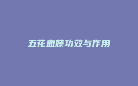 五花血藤功效与作用