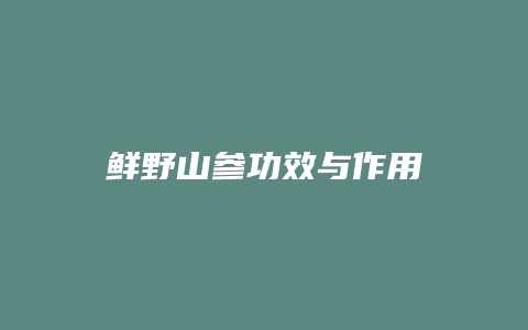 鲜野山参功效与作用