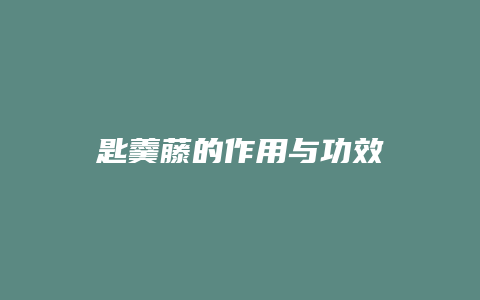 匙羹藤的作用与功效