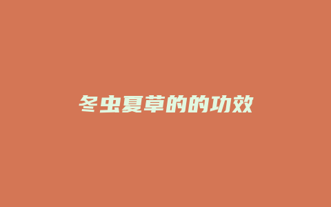 冬虫夏草的的功效