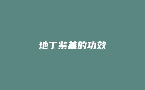 地丁紫堇的功效