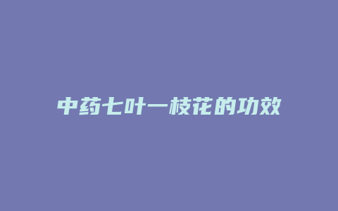 中药七叶一枝花的功效