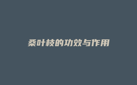桑叶枝的功效与作用