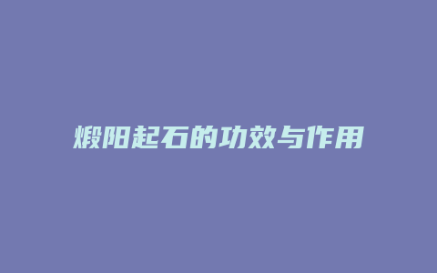 煅阳起石的功效与作用