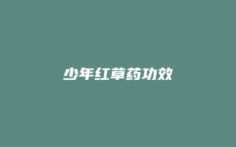 少年红草药功效