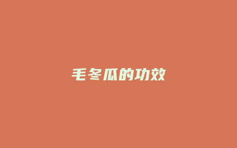 毛冬瓜的功效