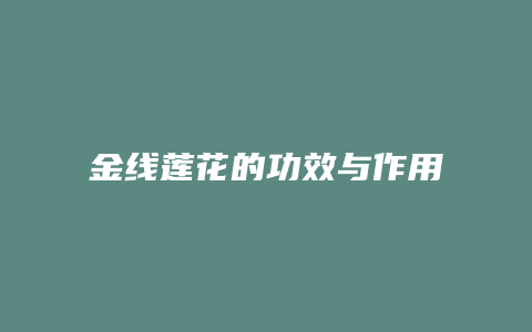 金线莲花的功效与作用