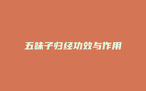 五味子归经功效与作用