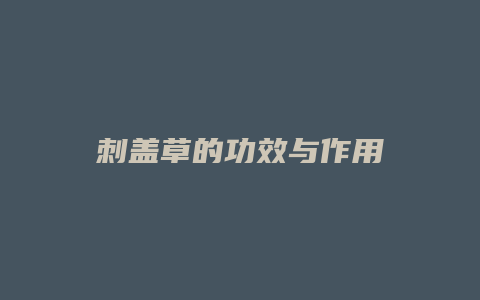 刺盖草的功效与作用