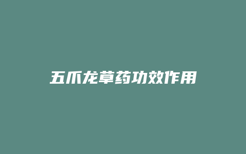 五爪龙草药功效作用