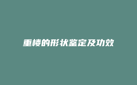 重楼的形状鉴定及功效