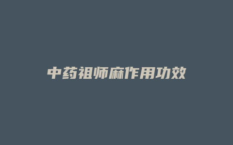 中药祖师麻作用功效