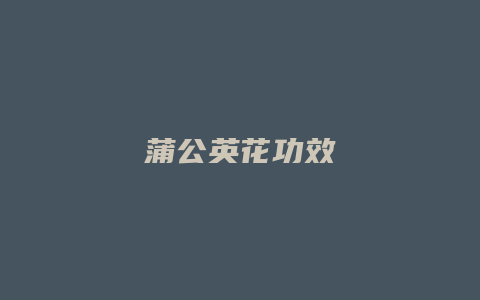 蒲公英花功效