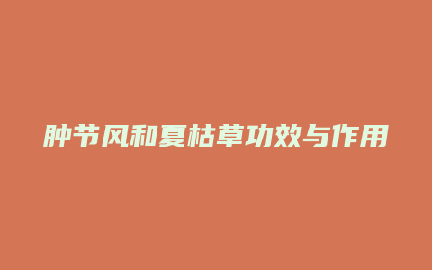 肿节风和夏枯草功效与作用