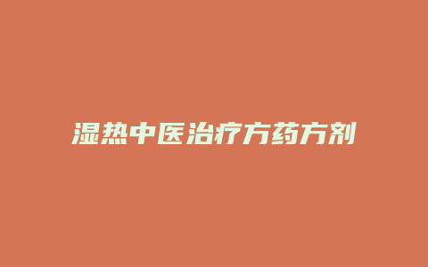 湿热中医治疗方药方剂