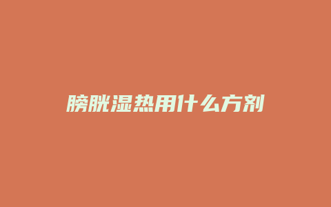 膀胱湿热用什么方剂