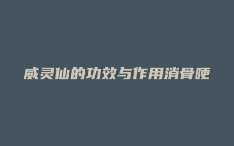 威灵仙的功效与作用消骨哽咽