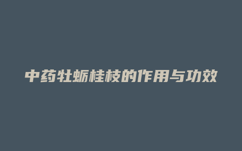 中药牡蛎桂枝的作用与功效与作用