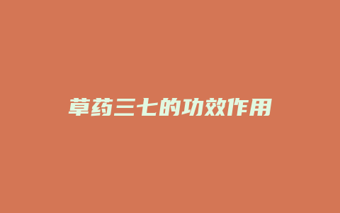 草药三七的功效作用