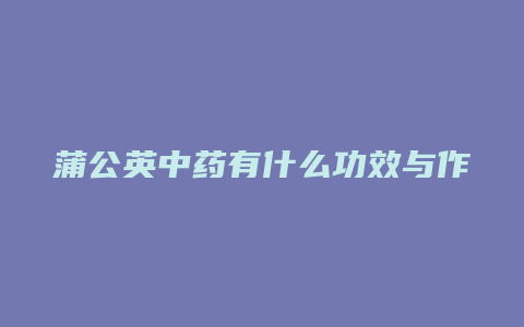 蒲公英中药有什么功效与作用