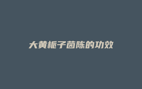 大黄栀子茵陈的功效