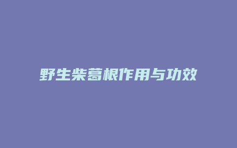 野生柴葛根作用与功效