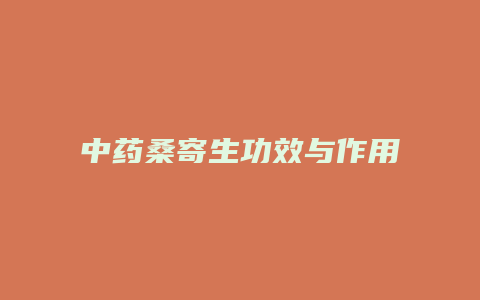 中药桑寄生功效与作用