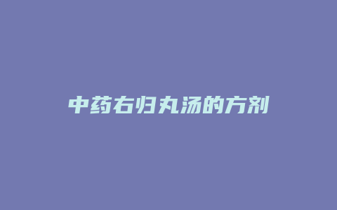 中药右归丸汤的方剂