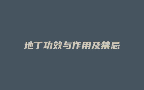 地丁功效与作用及禁忌