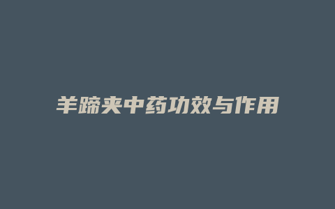 羊蹄夹中药功效与作用