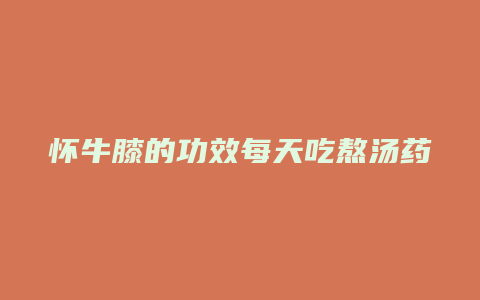 怀牛膝的功效每天吃熬汤药是多少