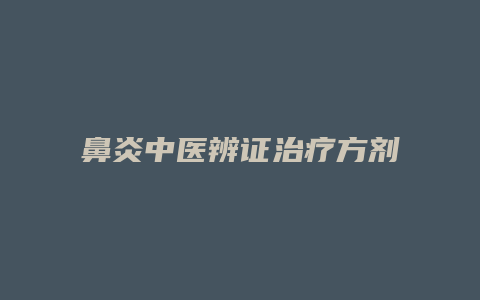 鼻炎中医辨证治疗方剂