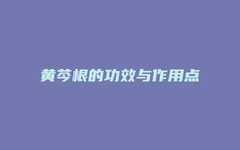黄芩根的功效与作用点