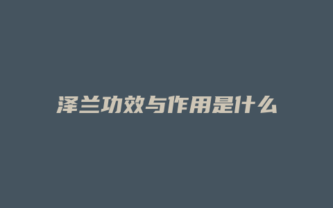 泽兰功效与作用是什么