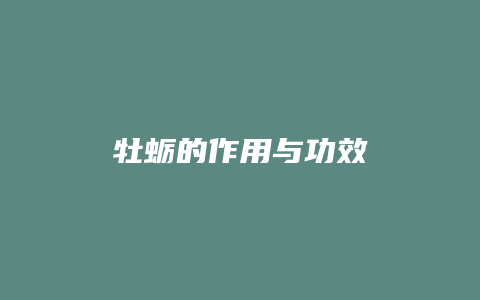牡蛎的作用与功效