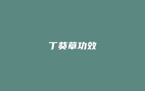 丁葵草功效
