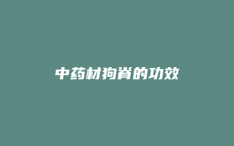 中药材狗脊的功效