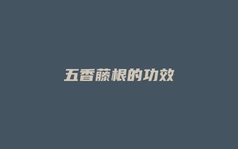 五香藤根的功效