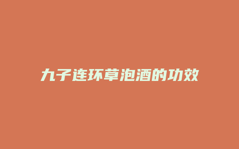 九子连环草泡酒的功效